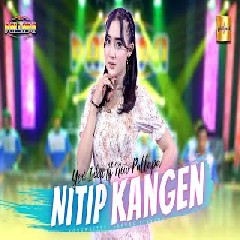 Download Lagu Yeni Inka - Nitip Kangen feat New Pallapa.mp3 Terbaru