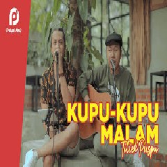 Download Lagu Pribadi Hafiz - Kupu Kupu Malam Terbaru