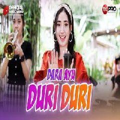 Download Lagu Dara Ayu - Duri Duri Terbaru