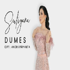 Download Lagu Suliyana - Dumes.mp3 Terbaru