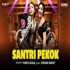Download Lagu Shinta Gisul - Santri Pekok Ft Syahiba Saufa (Dangdut Koplo Version).mp3 Terbaru