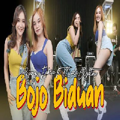 Download Lagu Ajeng Febria - Bojo Biduan Ft Mala Agatha.mp3 Terbaru