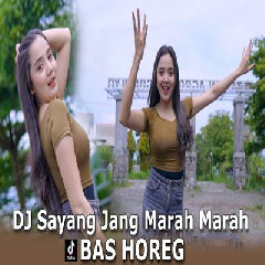Download Lagu Dj Tanti - Dj Sayang Jang Marah Marah.mp3 Terbaru