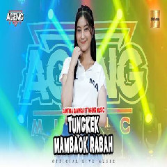 Download Lagu Cantika Davinca - Tungkek Mambaok Rabah Ft Ageng Music.mp3 Terbaru