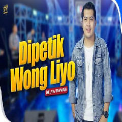Download Lagu Delva Irawan - Dipetik Wong Liyo Feat Om Sera.mp3 Terbaru