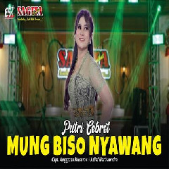 Download Lagu Putri Cebret - Mung Biso Nyawang.mp3 Terbaru
