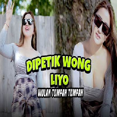 Download Lagu Wulan Tumpah Tumpah - Dipetik Wong Liyo.mp3 Terbaru