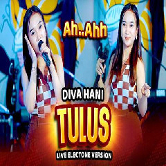 Download Lagu Diva Hani - Tulus Electone Version.mp3 Terbaru