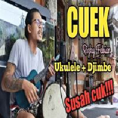 Download Lagu Made Rasta - Cuek - Rizky Febian (Reggae Cover).mp3 Terbaru