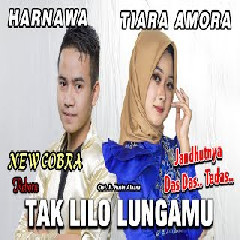 Download Lagu Tiara Amora - Tak Lilo Lungamu Feat Harnawa.mp3 Terbaru