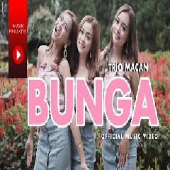 Download Lagu Trio Macan - Bunga.mp3 Terbaru