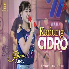 Download Lagu Jihan Audy - Kadung Cidro Feat New Bossque.mp3 Terbaru