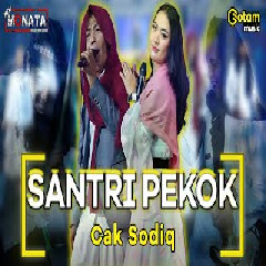 Download Lagu Cak Sodiq - Santri Pekok Ft New Monata.mp3 Terbaru