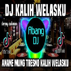 Download Lagu Abang Dj - Dj Kalih Welasku Remix Full Bass Viral Tiktok Terbaru 2023 Terbaru