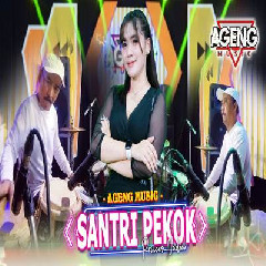 Download Lagu Princes Nadia - Santri Pekok Ft Ageng Music.mp3 Terbaru