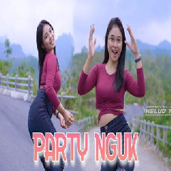 Download Lagu Kelud Music - Dj Party Terenak Yang Kalian Tunggu Terbaru