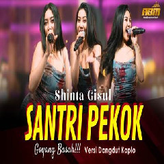 Download Lagu Shinta Gisul - Santri Pekok.mp3 Terbaru