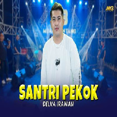 Download Lagu Delva Irawan - Santri Pekok Feat Bintang Fortuna.mp3 Terbaru