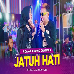 Download Lagu Fida AP X David Chandra - Jatuh Hati.mp3 Terbaru
