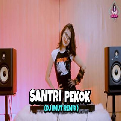 Download Lagu Dj Imut - Dj Santri Pekok Viral.mp3 Terbaru