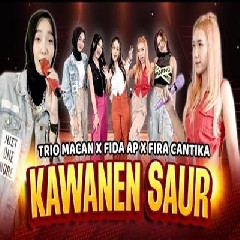 Download Lagu Trio Macan X Fida AP X Fira Cantika - Kawanen Saur.mp3 Terbaru