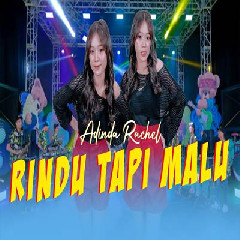Download Lagu Adinda Rachel - Rindu Tapi Malu.mp3 Terbaru