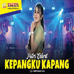 Download Lagu Putri Cebret - Kepangku Kapang.mp3 Terbaru