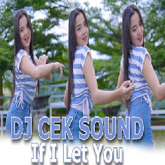 Download Lagu Dj Tanti - Dj Cek Sound If I Let You Bass Horeg.mp3 Terbaru