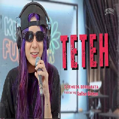 Download Lagu Sallsa Bintan - Teteh Ft 3 Pemuda Berbahaya Terbaru