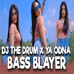 Download Lagu Imelia AG - Dj Bass Blayer The Drum X Ya Odna Paling Dicari Terbaru